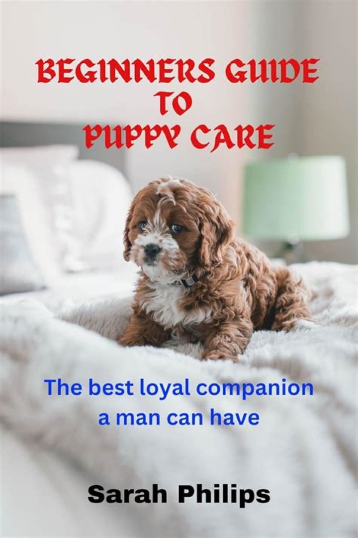 Beginner's Guide to Downloading and Reading E-Books from Loyal Books