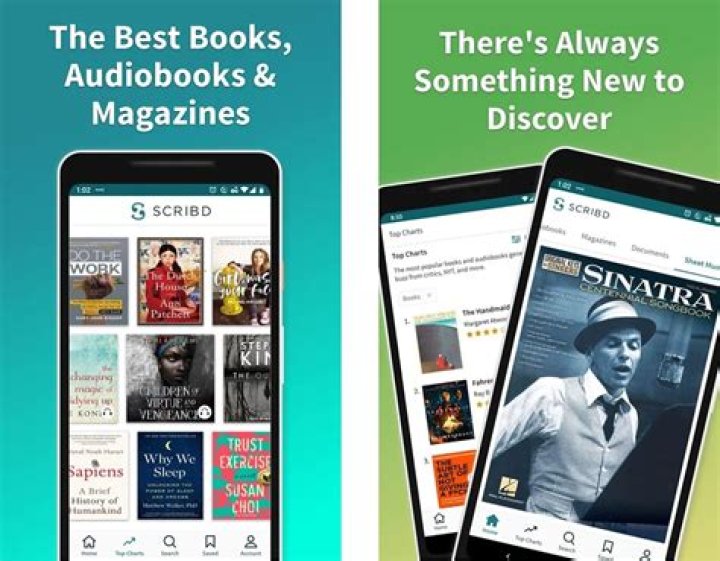 Master E-Book Reading: Best Apps and Devices for Open Library Users