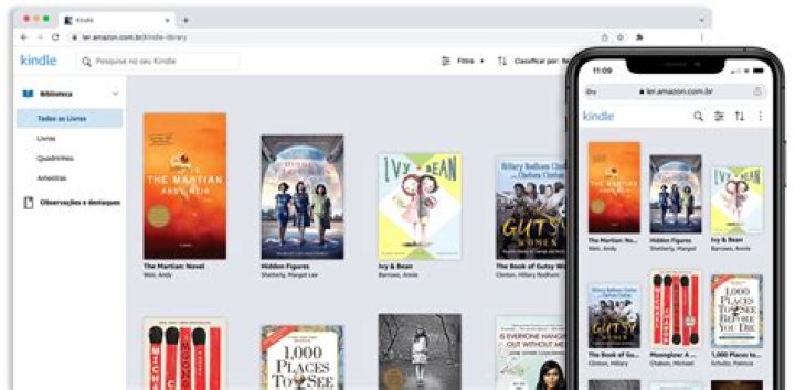 Building Your Personal E-Book Library with Standard Ebooks' High-Quality Editions